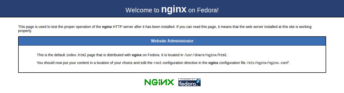 nginx success