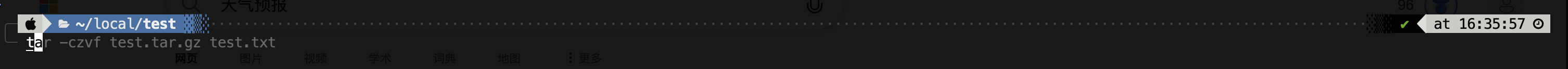 zsh-autosuggestions 效果